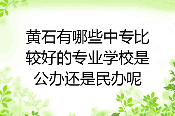 黄石有哪些中专比较好的专业学校是公办还是民办呢
