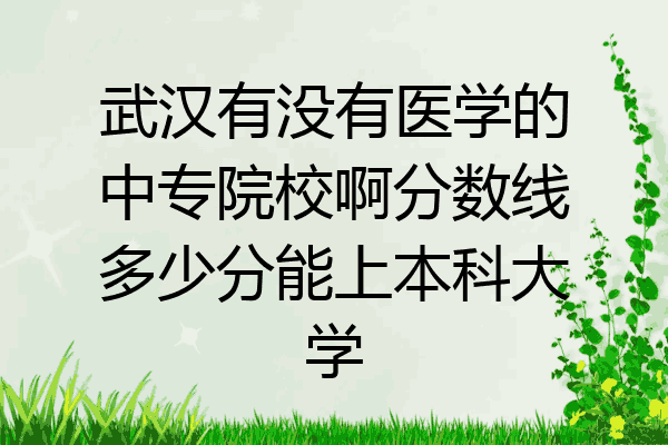 武汉有没有医学的中专院校啊分数线多少分能上本科大学