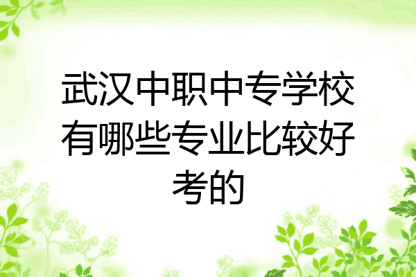 武汉中职中专学校有哪些专业比较好考的