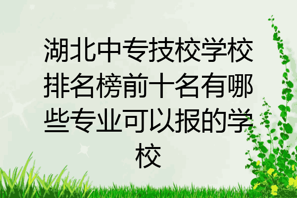 湖北中专技校学校排名榜前十名有哪些专业可以报的学校
