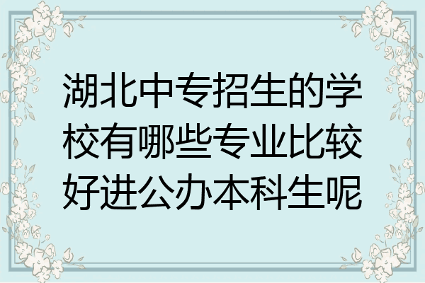 湖北中专招生的学校有哪些专业比较好进公办本科生呢