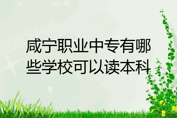 咸宁职业中专有哪些学校可以读本科