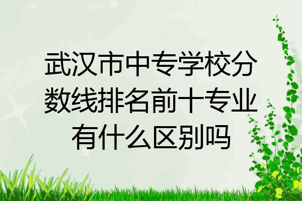 武汉市中专学校分数线排名前十专业有什么区别吗
