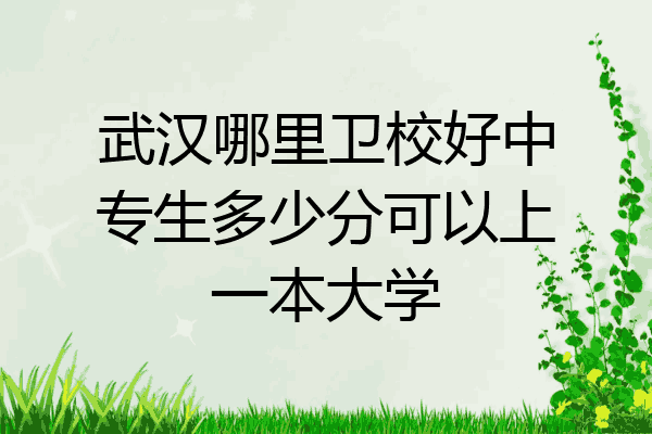 武汉哪里卫校好中专生多少分可以上一本大学