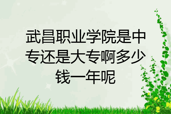 武昌职业学院是中专还是大专啊多少钱一年呢