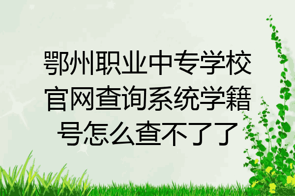 鄂州职业中专学校官网查询系统学籍号怎么查不了了