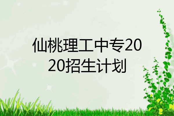 仙桃理工中专2020招生计划