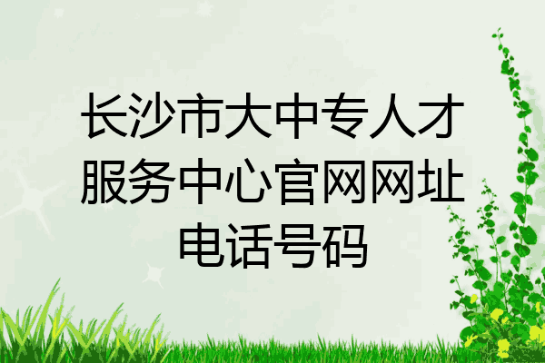 长沙市大中专人才服务中心官网网址电话号码