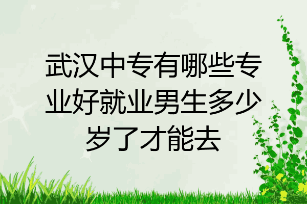 武汉中专有哪些专业好就业男生多少岁了才能去