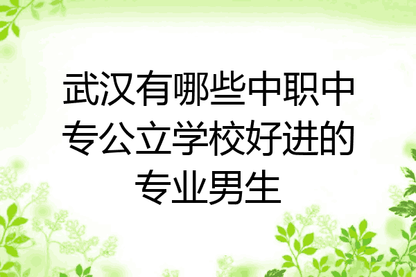 武汉有哪些中职中专公立学校好进的专业男生