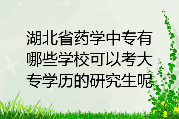 湖北省药学中专有哪些学校可以考大专学历的研究生呢