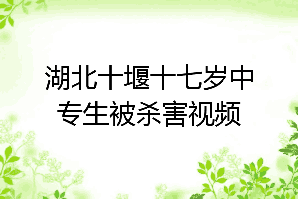 湖北十堰十七岁中专生被杀害视频
