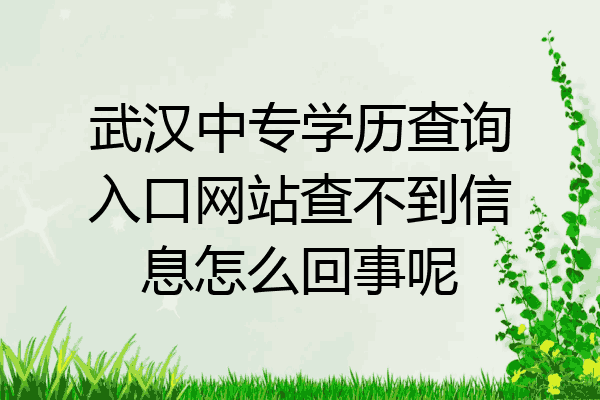 武汉中专学历查询入口网站查不到信息怎么回事呢
