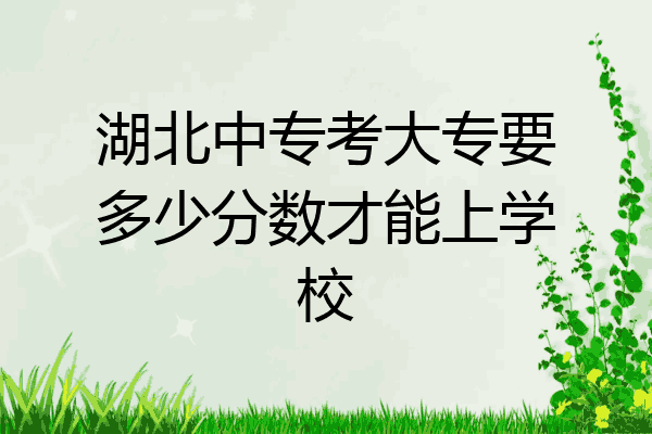 湖北中专考大专要多少分数才能上学校