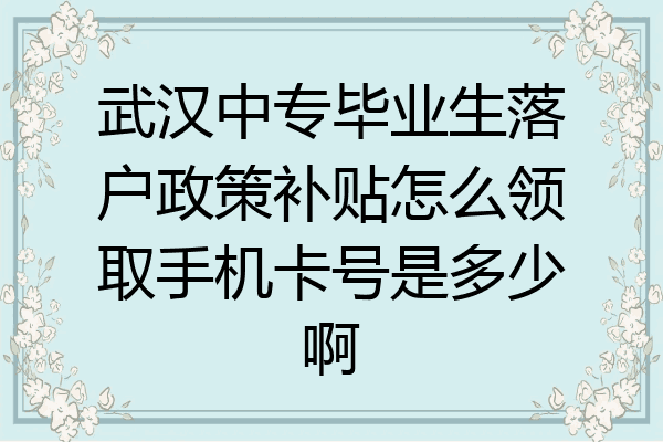 武汉中专毕业生落户政策补贴怎么领取手机卡号是多少啊