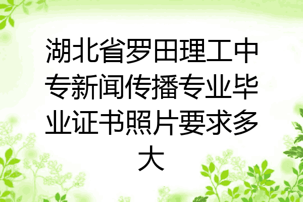 湖北省罗田理工中专新闻传播专业毕业证书照片要求多大