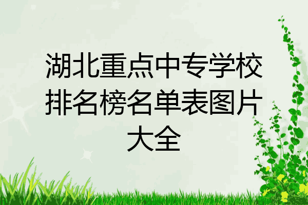 湖北重点中专学校排名榜名单表图片大全