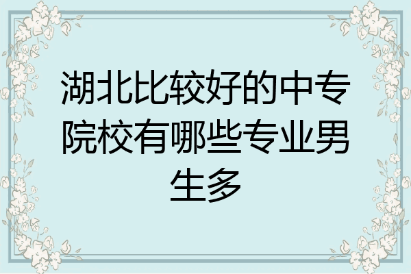 湖北比较好的中专院校有哪些专业男生多