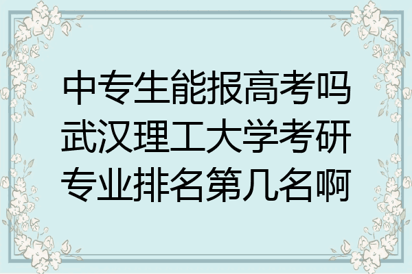 中专生能报高考吗武汉理工大学考研专业排名第几名啊
