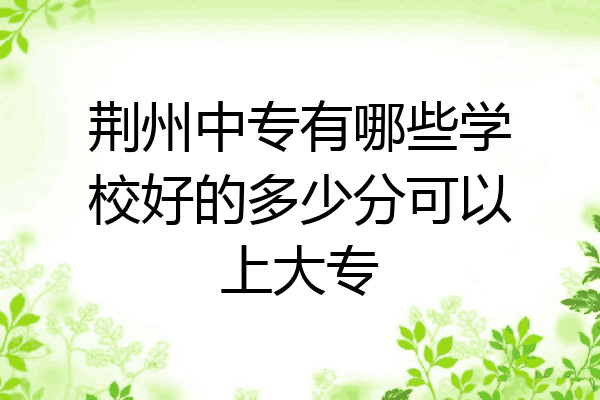 荆州中专有哪些学校好的多少分可以上大专