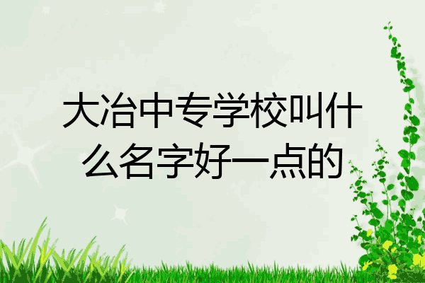 大冶中专学校叫什么名字好一点的