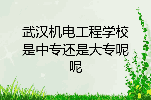 武汉机电工程学校是中专还是大专呢呢