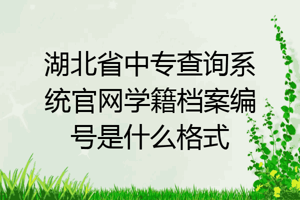 湖北省中专查询系统官网学籍档案编号是什么格式