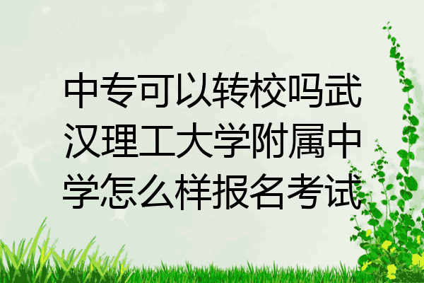 中专可以转校吗武汉理工大学附属中学怎么样报名考试