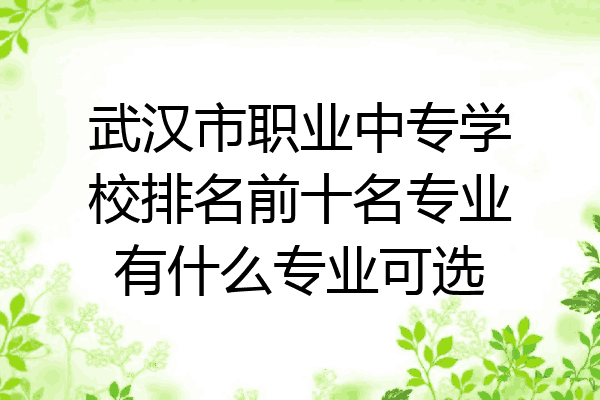 武汉市职业中专学校排名前十名专业有什么专业可选
