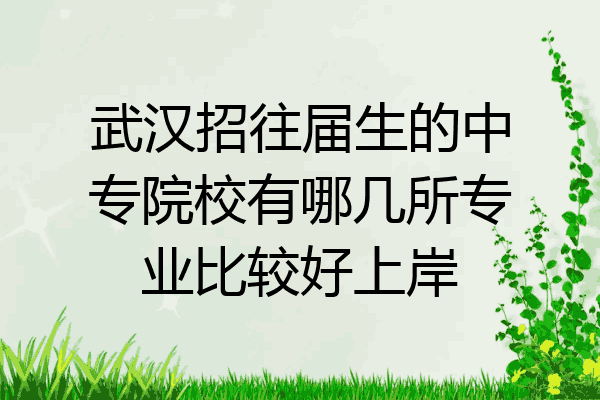 武汉招往届生的中专院校有哪几所专业比较好上岸