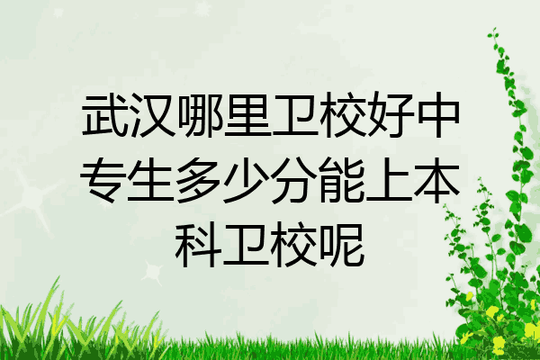 武汉哪里卫校好中专生多少分能上本科卫校呢