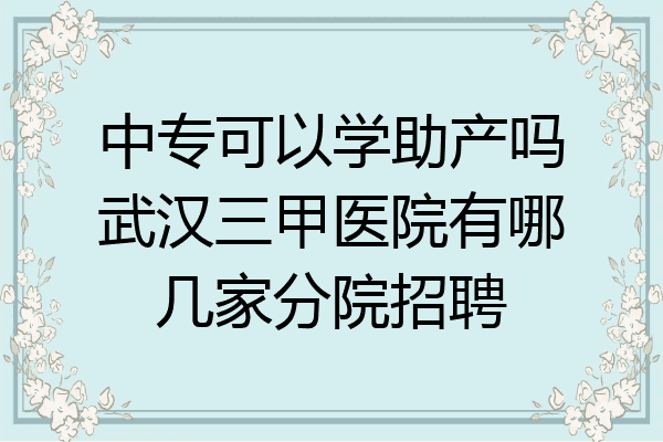 中专可以学助产吗武汉三甲医院有哪几家分院招聘