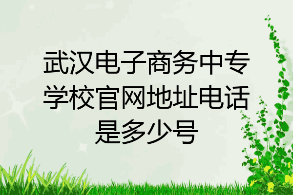 武汉电子商务中专学校官网地址电话是多少号