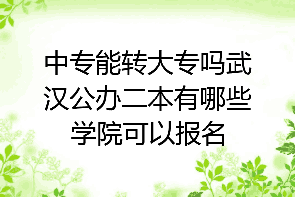 中专能转大专吗武汉公办二本有哪些学院可以报名