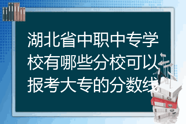 湖北省中职中专学校有哪些分校可以报考大专的分数线