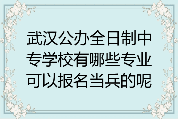 武汉公办全日制中专学校有哪些专业可以报名当兵的呢