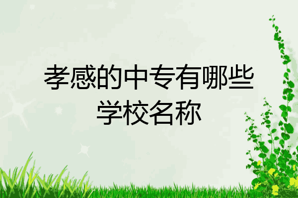 孝感的中专有哪些学校名称