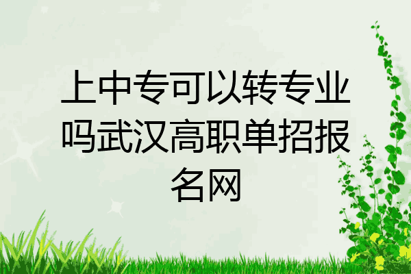 上中专可以转专业吗武汉高职单招报名网