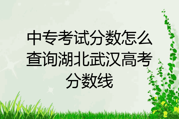 中专考试分数怎么查询湖北武汉高考分数线