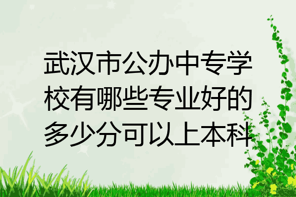 武汉市公办中专学校有哪些专业好的多少分可以上本科