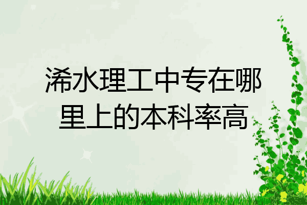 浠水理工中专在哪里上的本科率高