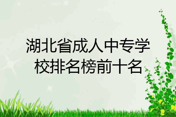湖北省成人中专学校排名榜前十名