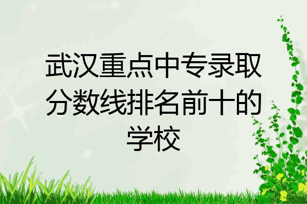 武汉重点中专录取分数线排名前十的学校