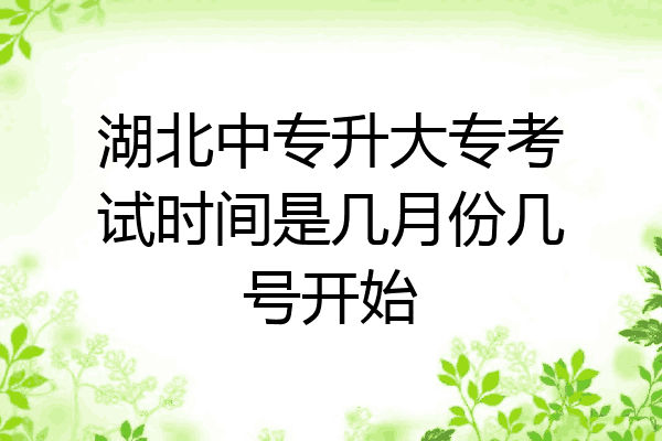 湖北中专升大专考试时间是几月份几号开始