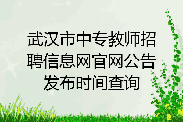 武汉市中专教师招聘信息网官网公告发布时间查询