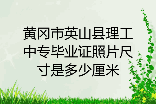 黄冈市英山县理工中专毕业证照片尺寸是多少厘米
