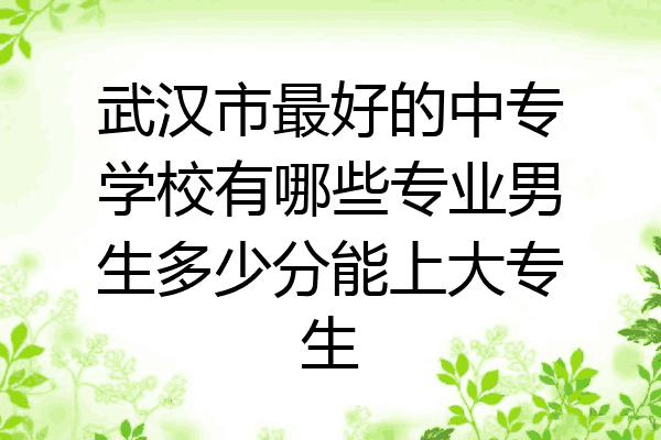 武汉市最好的中专学校有哪些专业男生多少分能上大专生