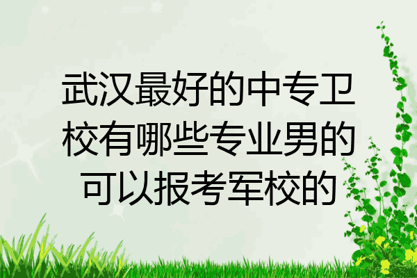 武汉最好的中专卫校有哪些专业男的可以报考军校的