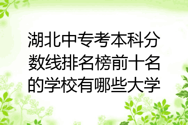 湖北中专考本科分数线排名榜前十名的学校有哪些大学