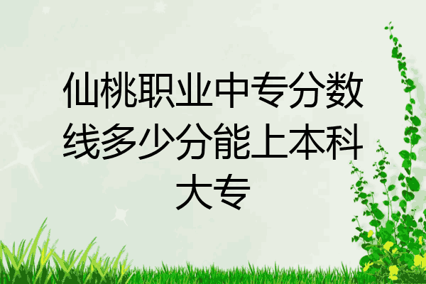 仙桃职业中专分数线多少分能上本科大专